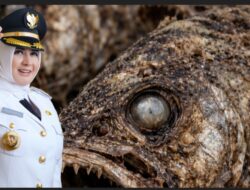 Kepala Busuk, Sistem Ikut Membusuk: Cermin Buram Kepemimpinan Daerah