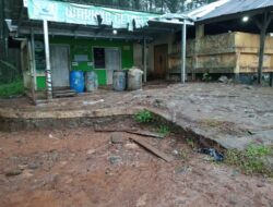 Diduga Barang Bukti Getah Pinus Hilang di TPG Sitatah Peninggaran, Proses Hukum Dipertanyakan