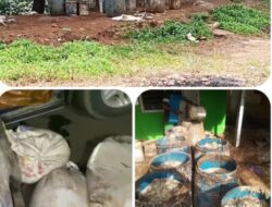 Kasus Pencurian Getah Pinus TPG Sitatah Makin Pelik, Isu Hilang dan Digantinya Barang Bukti Mengemuka