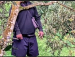 Seorang Pria Ditemukan Meninggal Gantung Diri  di Kebun Alpukat Karanganyar