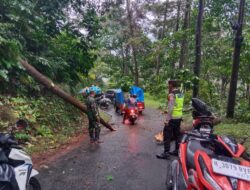 Pohon Tumbang Sempat Tutup Jalur Lebakbarang–Karanganyar, Petugas Gabungan Gerak Cepat Lakukan Evakuasi