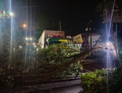 Truk Bermuatan Hebel Tabrak Pohon di Kajen, Arus Lalu Lintas Sempat Tersendat