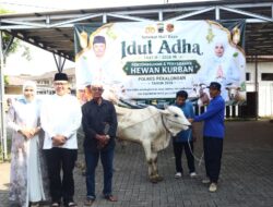 Polres Pekalongan Salurkan 7 Sapi dan 6 Kambing Kurban untuk Warga dan Ponpes