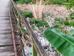 Memprihatinkan! Sampah Menumpuk di Bawah Jembatan Desa Blimbing Wuluh, Warga: Menunggu Jembatan Hanyut Baru Ditindak?