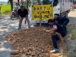 Respon gubenur memanas ! Kesal Jalan Tak Kunjung Diperbaiki, Warga Randublatung Tanam Pisang dan urug Ruas Randublatung–Cepu