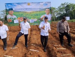 KABUPATEN PEKALONGAN GELAR TANAM TEBU SERENTAK, WUJUDKAN ASTA CITA DAN SWASSEMBADA GULA NASIONAL