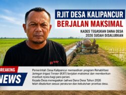 RJIT Desa Kalipancur Berjalan Maksimal, Kades Tegaskan Dana Desa 2026 Sudah Disalurkan