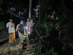 Sempat Dicari Keluarga, Balita di Wiradesa Ditemukan Tak Bernyawa di Kubangan
