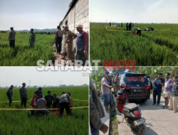Perangkat Desa Kalipancur Ditemukan Meninggal Dunia di Area Persawahan