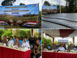 Gerakan Serentak Tanam Bawang Putih Digelar di 17 Provinsi, DKPP Pekalongan Dukung Percepatan Swasembada Nasional