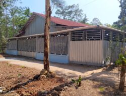 Sabung Ayam di Banyuputih Disorot, Warga Khawatir Picu Konflik Sosial